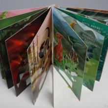 彩色印刷 河南彩色黑白書刊印刷廠家的專業(yè)服務(wù)與優(yōu)勢